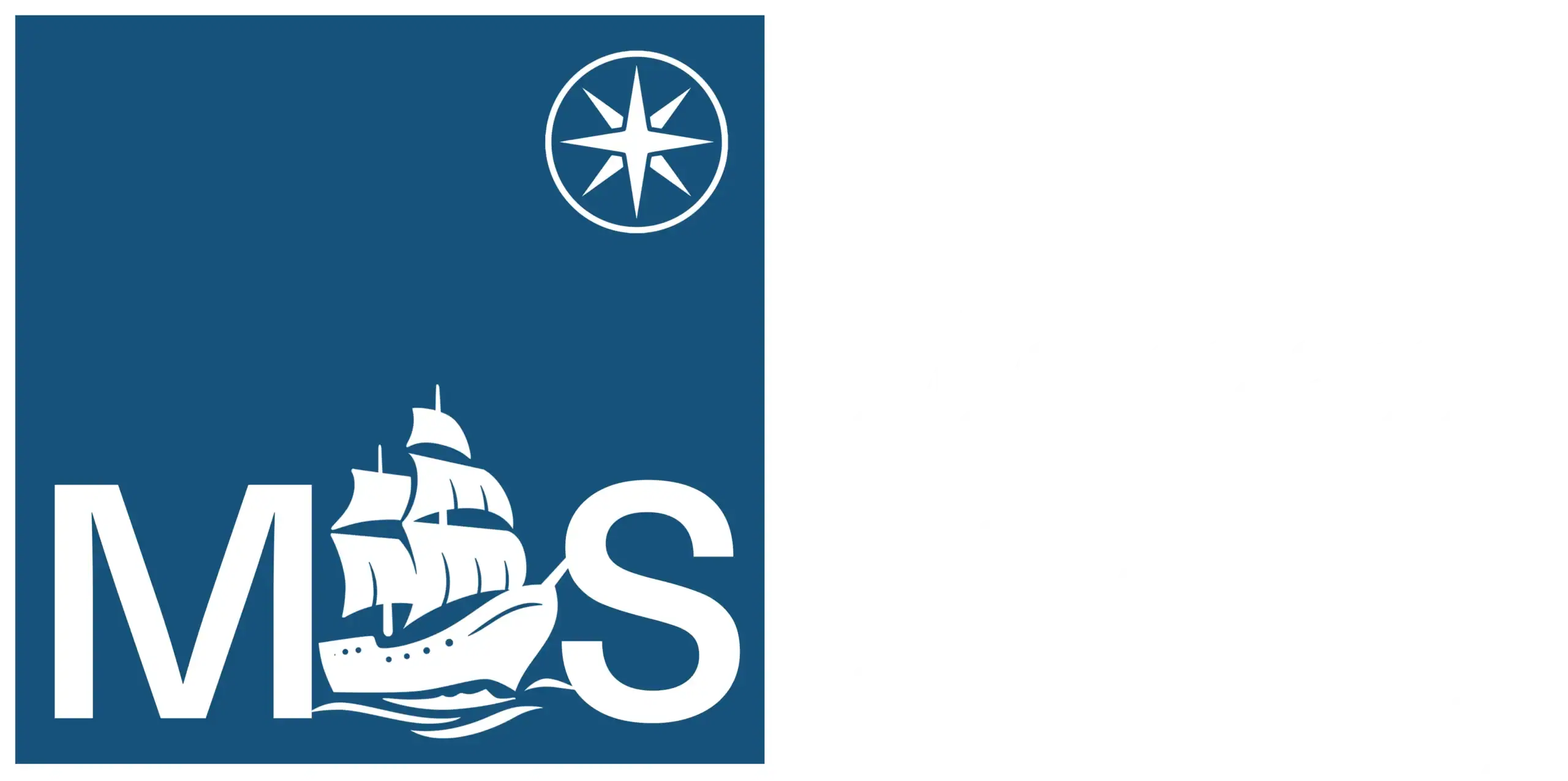 MAS Logo - Morgan Advisory Services - border white